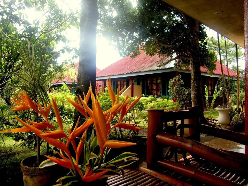 Kalipayan Beach Resort & Atlantis Dive Center Panglao Exteriér fotografie