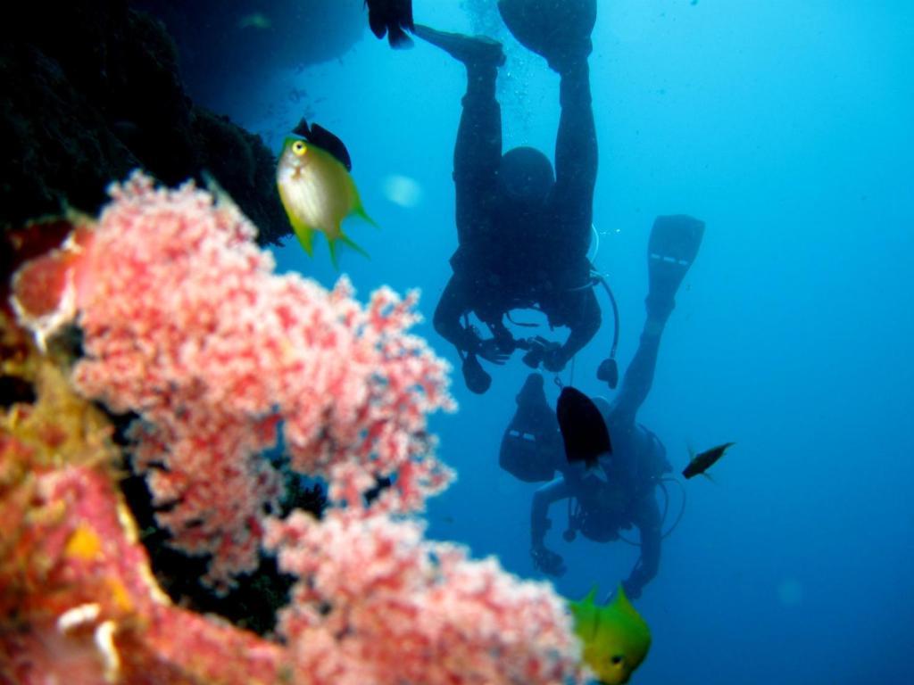 Kalipayan Beach Resort & Atlantis Dive Center Panglao Exteriér fotografie