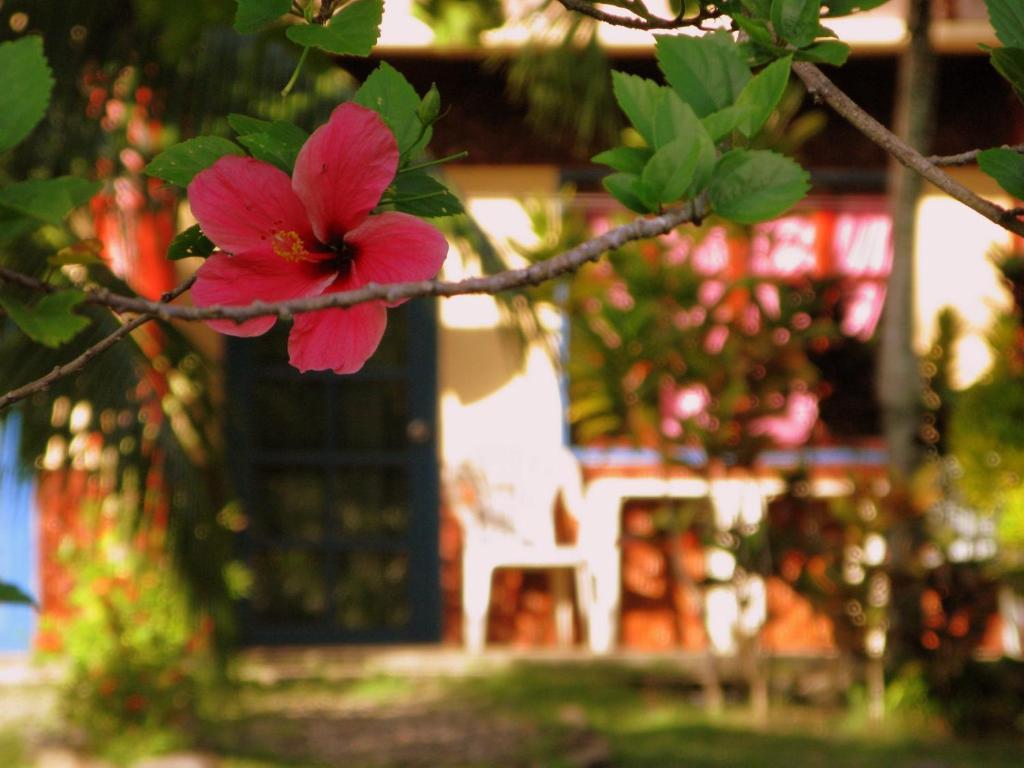 Kalipayan Beach Resort & Atlantis Dive Center Panglao Exteriér fotografie
