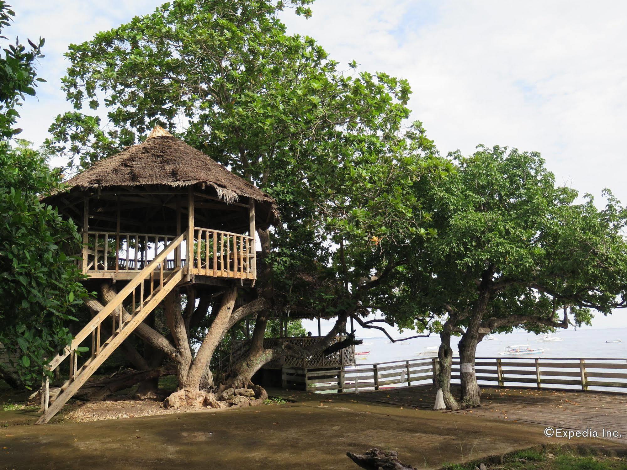 Kalipayan Beach Resort & Atlantis Dive Center Panglao Exteriér fotografie